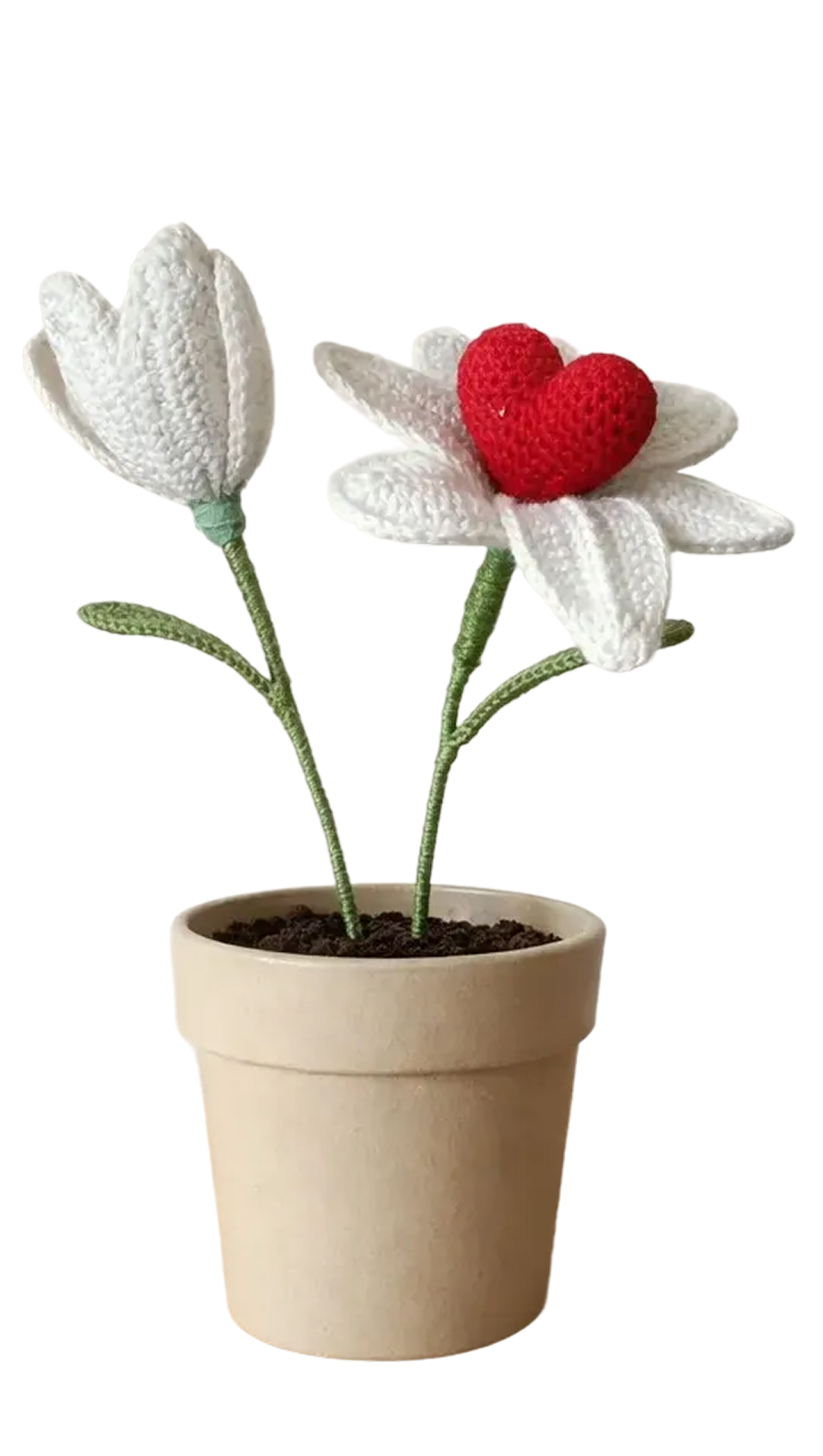 rabary-artistry-flower